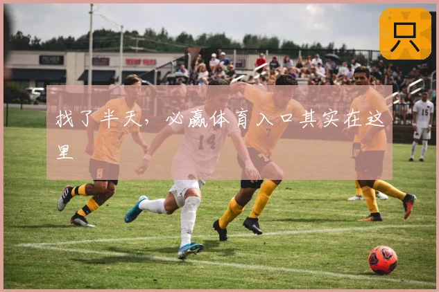 找了半天，必赢体育入口其实在这里